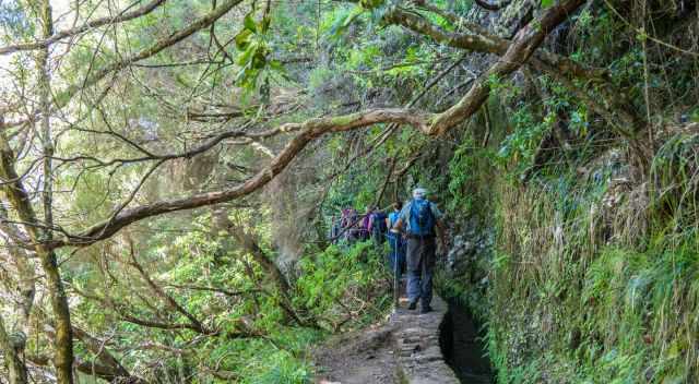 An elderly group hiking on the narrow Levada wall.
