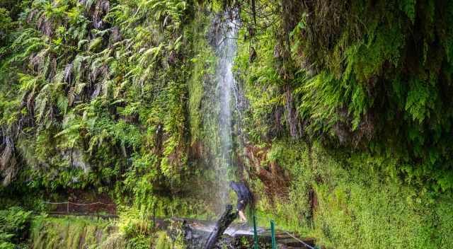 Waterfal to pass on Levada do Rei