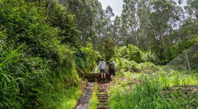 Levada do Rei steps to reach the water channel