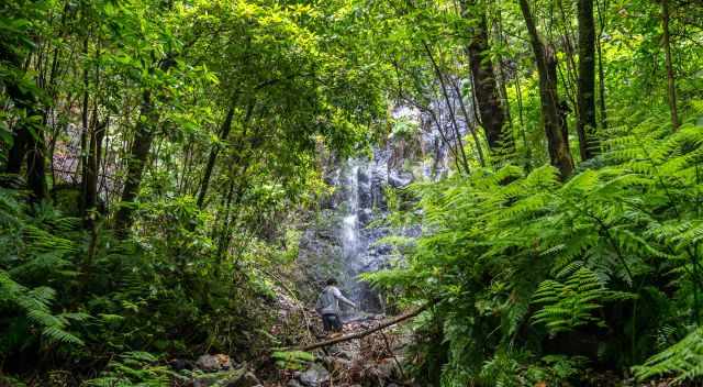 Not marked waterfall at Levada do Rei