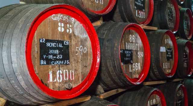 Stored wine barrels 