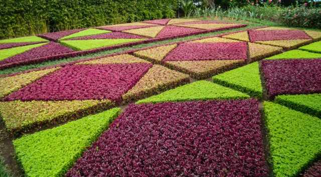 Botanical Garden in Funchal