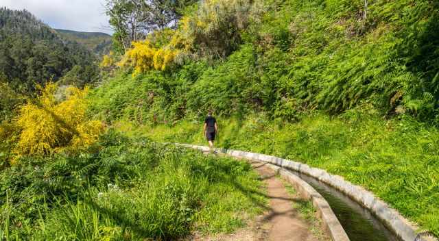 Levada do Arco do Calheta