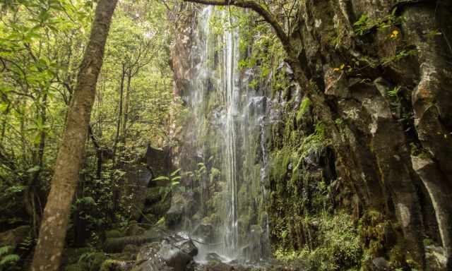 The waterfall at the beginning-end of Levada dos Cedros