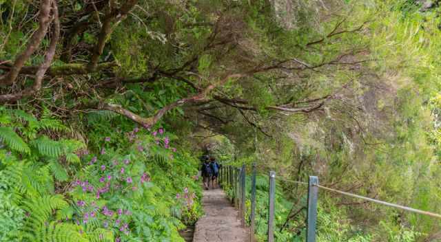 Steep descent along Levada 25 Fontes