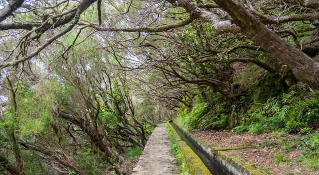 Levada das 25 Fontes Trail