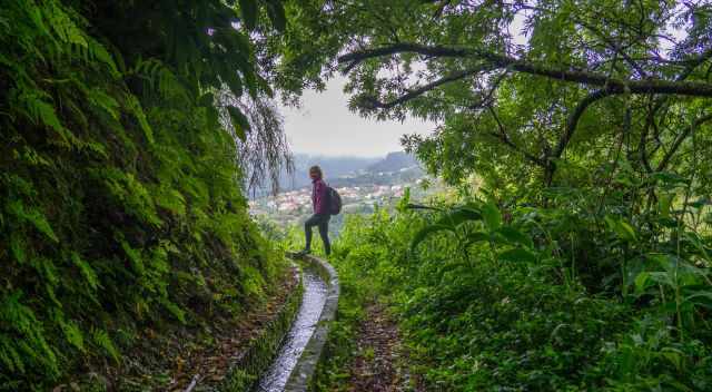The exceptional Levada and waterfall hike Agua D'Alto