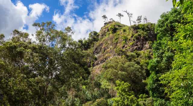 View from the lower Levada Moinho to the higher located Levada Nova