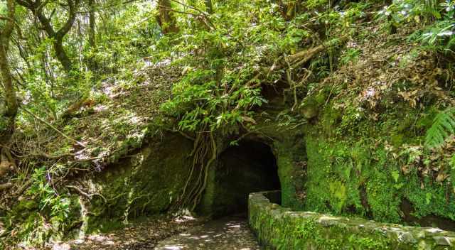 The third tunnel, the second 200 m long one at Caldeirao Verde Levada hike