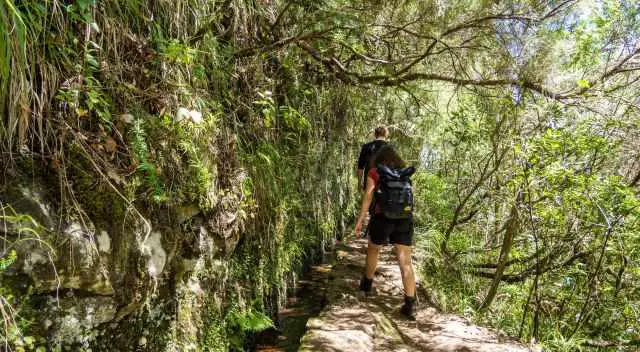 Hikers with proper shoes and waterproof backpack