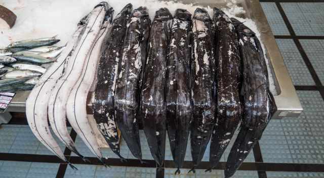 black scabbard fish "peixe espada preto" in the Funchal fish market