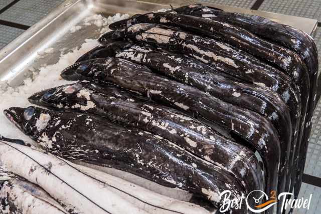 fresh black scabbard fish at Funchal Fish Market