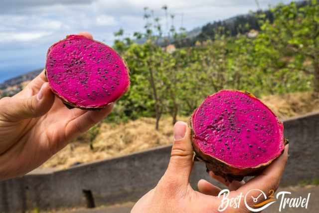 A pink Pitaya