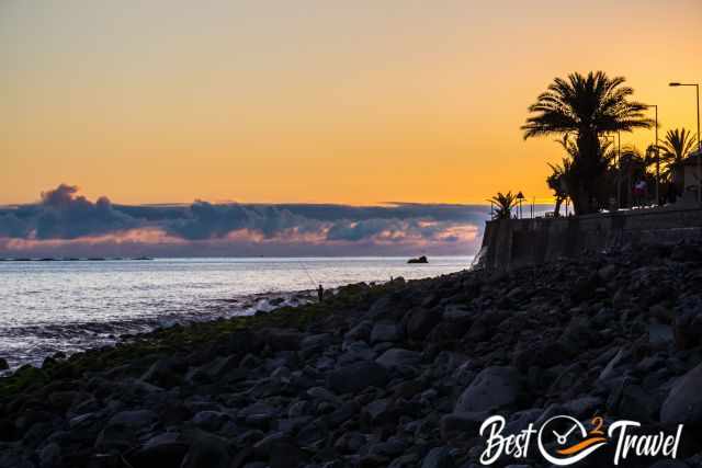 A sunset at the sea with a palm tree