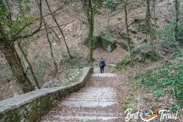 A man descends on a staircase in the forest.