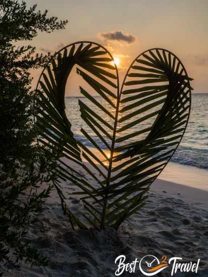 A heart made of a palm leave at sunset.