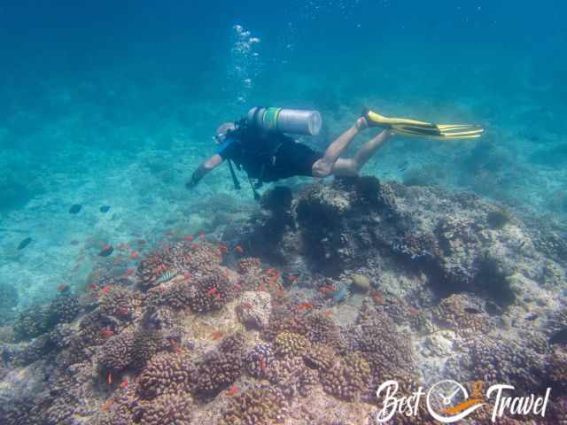 A diver in shallow waters in the Maldives.