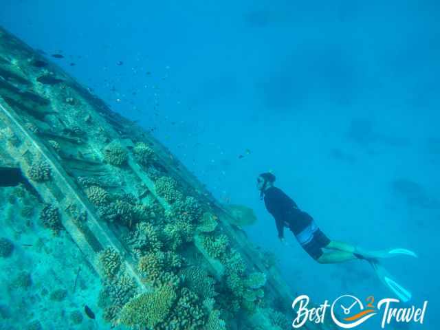 A snorkeler dived deep to a ship wreck