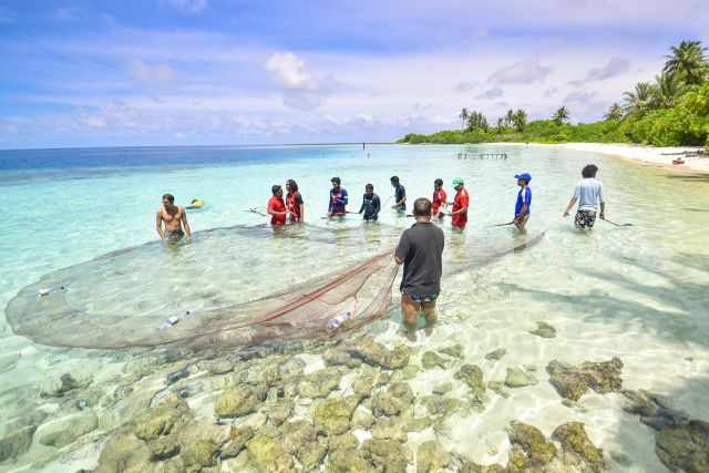 Fish caught by villagers on Dhangethi