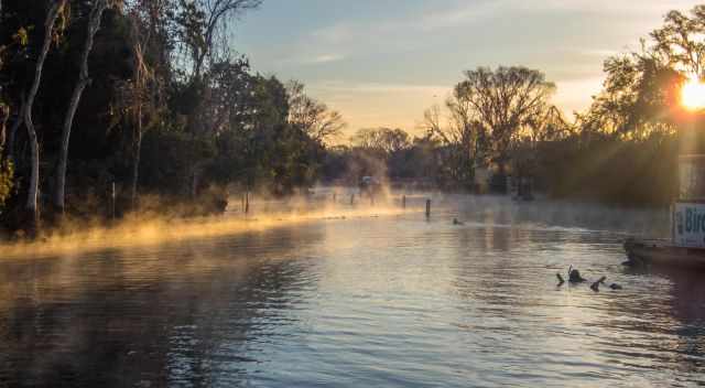 The first snorkelers at sunrise at Crystal River