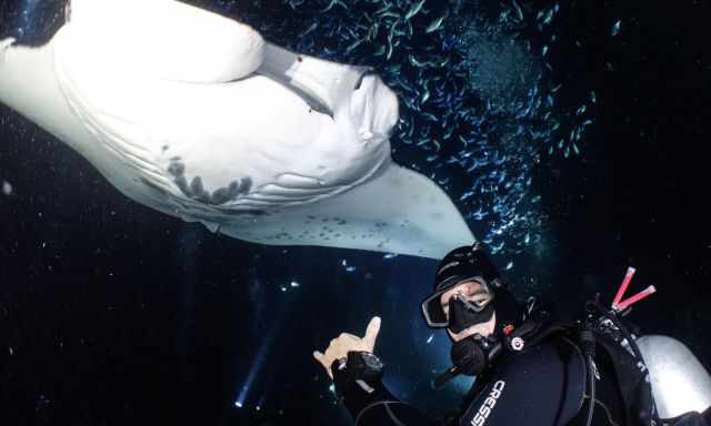 Diver in front of a Manta Ray