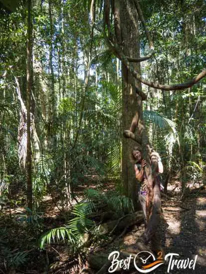 A woman behind a try and a huge vine.