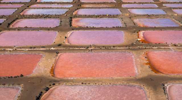 Las Salinas de Arinaga