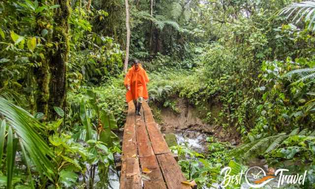 A hiker with rain poncho walking through the rain forest