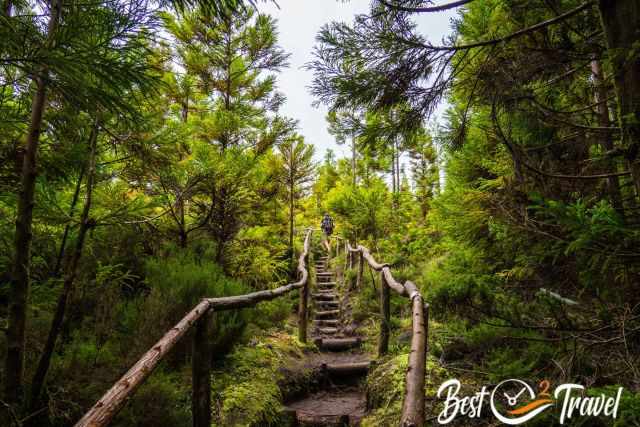 Hiker walking up wooden steps on the Mistérios Negros trail in Terceira, surrounded by lush rainforest vegetation.