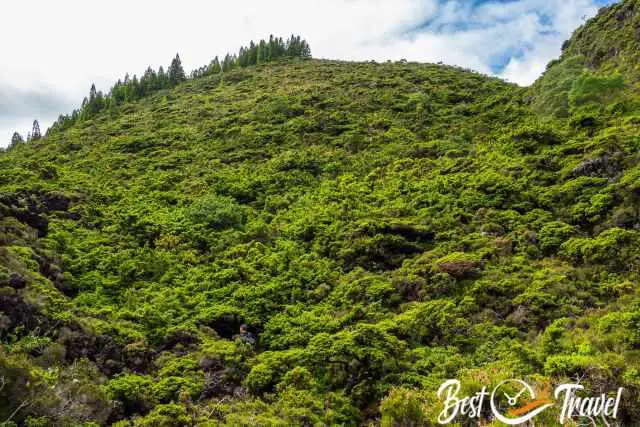 The mountain covered with primary rain forest.