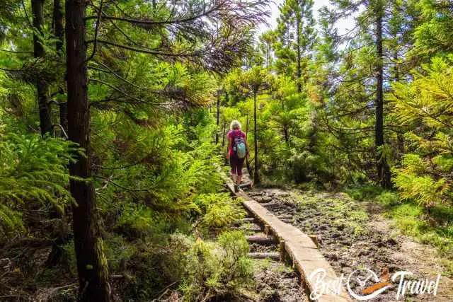 Wooden planks leading above the mud