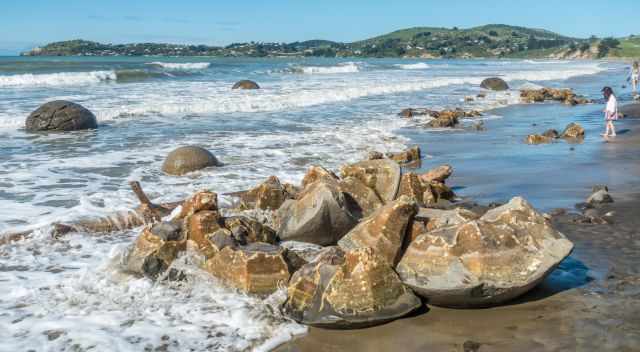 Many pieces of a broken Moeraki Boulder