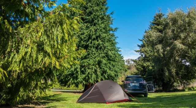 Camping in the Moeraki Holiday Park surrounded by trees