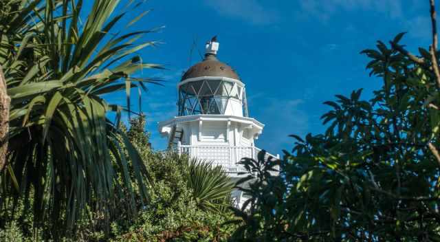 Katiki Point Lighthouse on a sunny day.