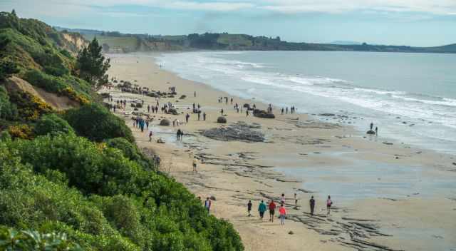 Moeraki Boulders in summer