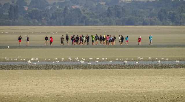Group on a tidal flat tour.