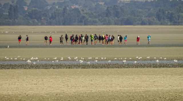 Group on a tidal flat tour.