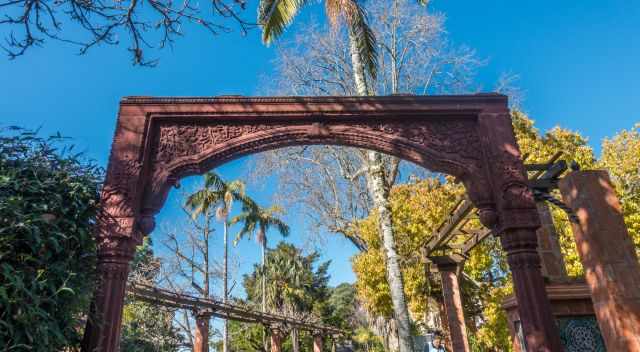 The Indian Arch surrounded by palm and deciduous trees.