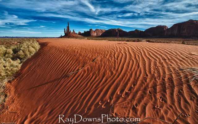 The Monument Valley desert with animal tracks