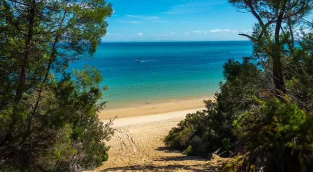 The view from a dune to the turquois blue sea.