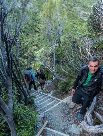 Steep leg burner trail with endless steps - hikers on it