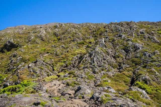 The rocky lava field and first vegetation along the summit of Pico Mountain.