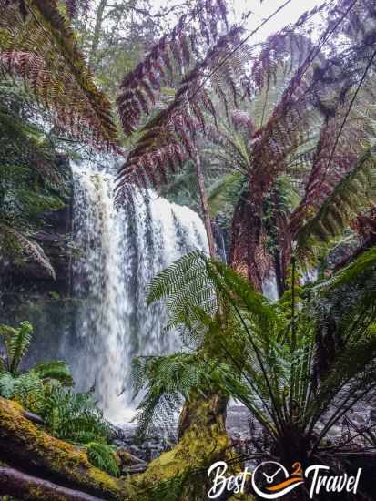 Russell Falls photo taken from the closest viewpoint