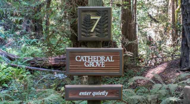 Muir Woods Sign to enter quietly