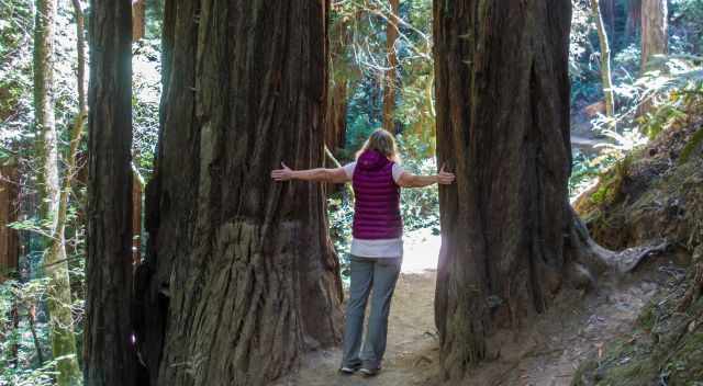 Me hiking through the ancient redwoods in Muir Woods