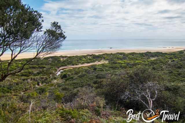 The coastal vegetation and the beaches in Narawntapu