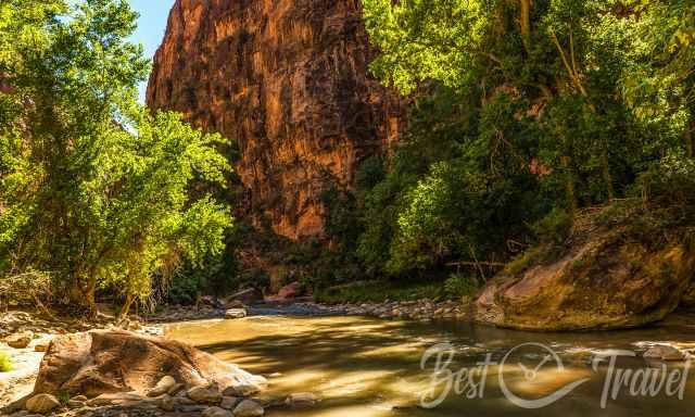 Muddy brown river water despite the sunny day