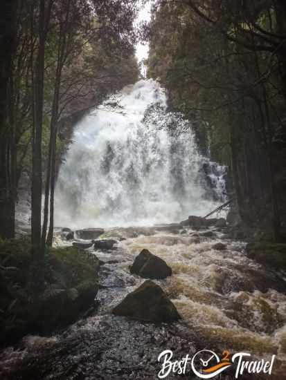 Nelson Falls in spring with an immense flow