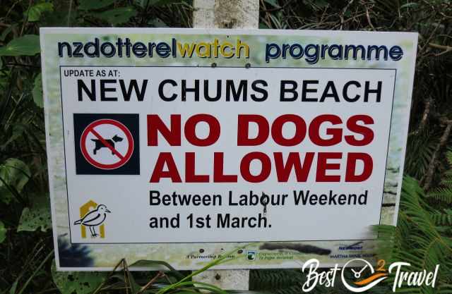 Dogs are not allowed sign to protect nesting dotterels.