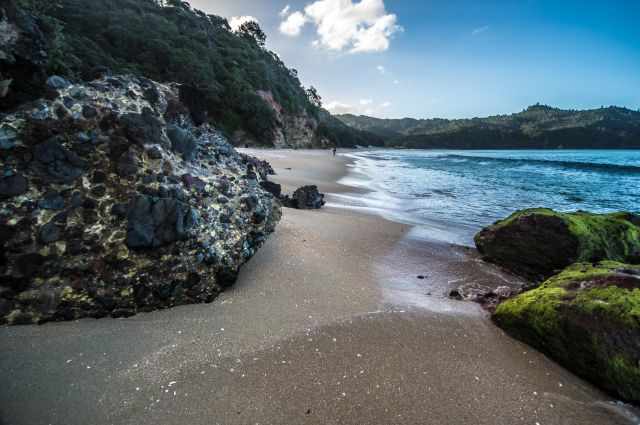 New Chums Beach with turquoise water, golden sand, footprints, and forested hills on a sunny day.